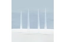 DNase/RNase-free Long Low Retention Pipette Tip 1000μL 