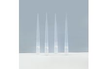 DNase/RNase-free Long Filtered Pipette Tip 1000μL 