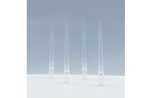 DNase/RNase-free Long Low Retention Filtered Pipette Tip 1000μL 